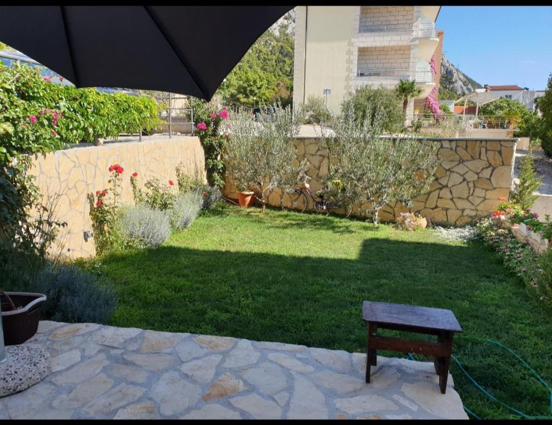 Apartment Damir