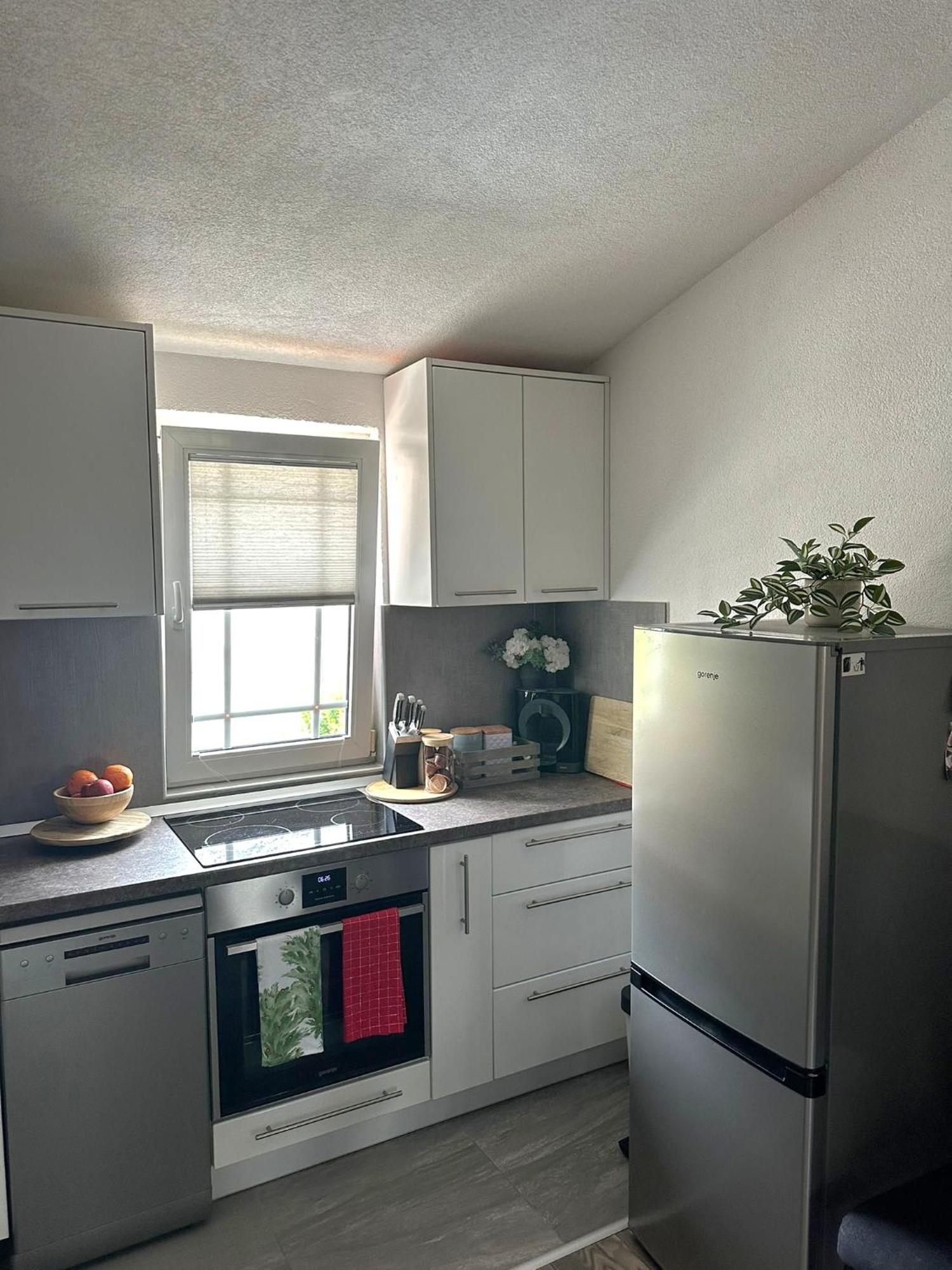 Apartment Damir Gradac (Split-Dalmatia)